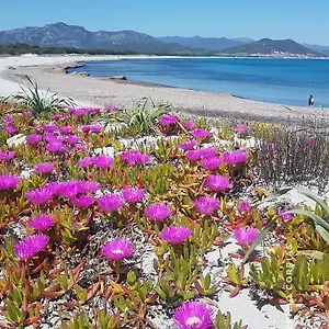 https://monolocale-yellow.in-sardinia.net